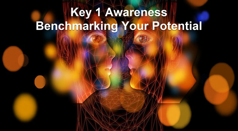 Course Nine Keys: 1 Awareness: Benchmarking Your Potential
